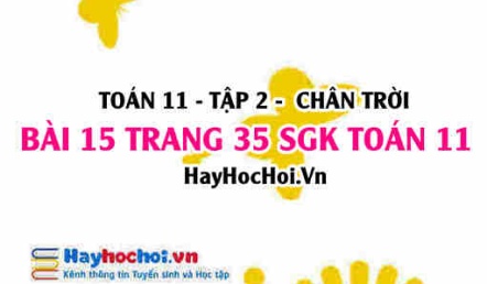 Bài 15 trang 35 Toán 11 tập 2 Chân trời sáng tạo